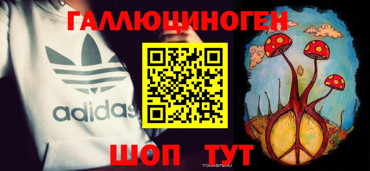 Прохладный  наркота  Галлюциногенные грибы ЛСД  Вход с VPN  Псилоцибиновые грибы прущие грибы 