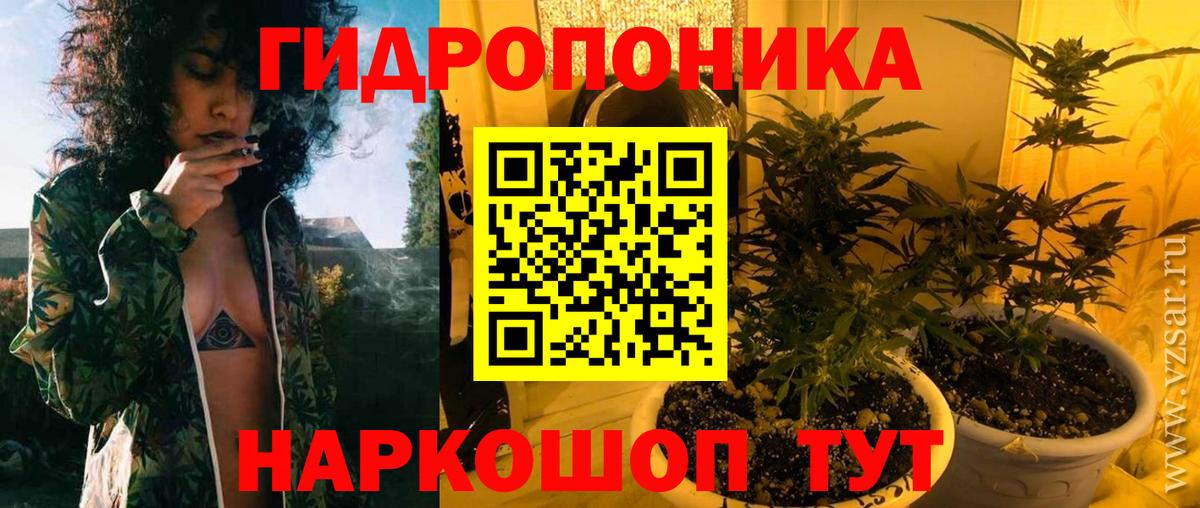 Бошки Шишки индика Прохладный
